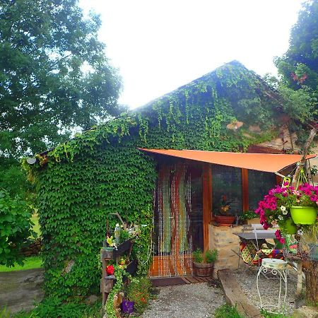 Mas De La Boheme - L'Hermet Bed & Breakfast Saint-Leons Bagian luar foto