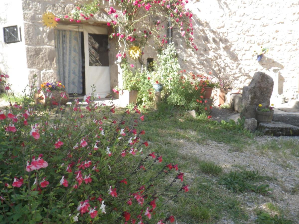 Mas De La Boheme - L'Hermet Bed & Breakfast Saint-Leons Bagian luar foto