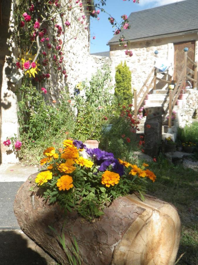 Mas De La Boheme - L'Hermet Saint-Leons Bagian luar foto