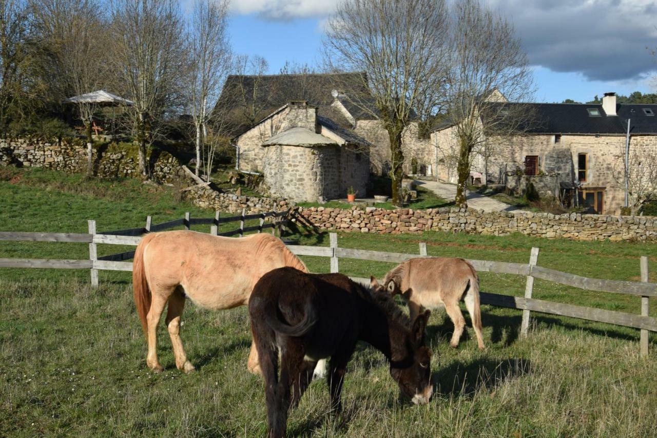 Mas De La Boheme - L'Hermet Bed & Breakfast Saint-Leons Bagian luar foto